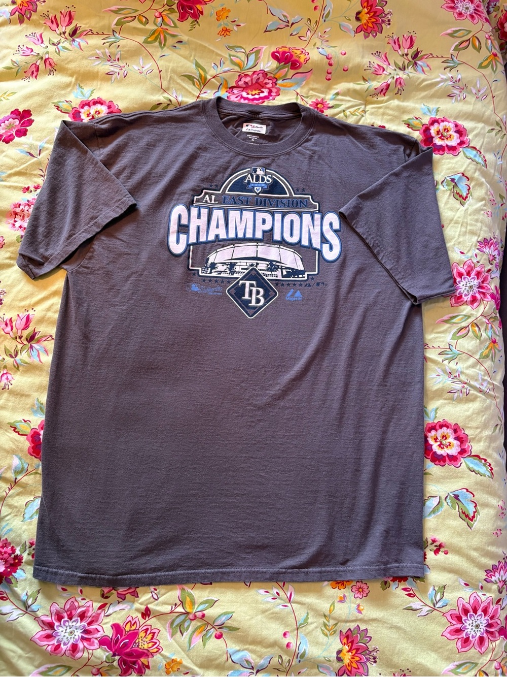 Tampa Bay Rays x Majestic 2010 AL East Champions gray tee XL 32x26 NWOT